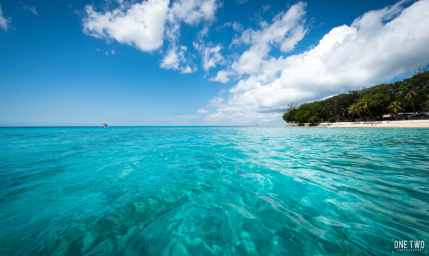 Caribbean sea ocean teal water on palm tree island