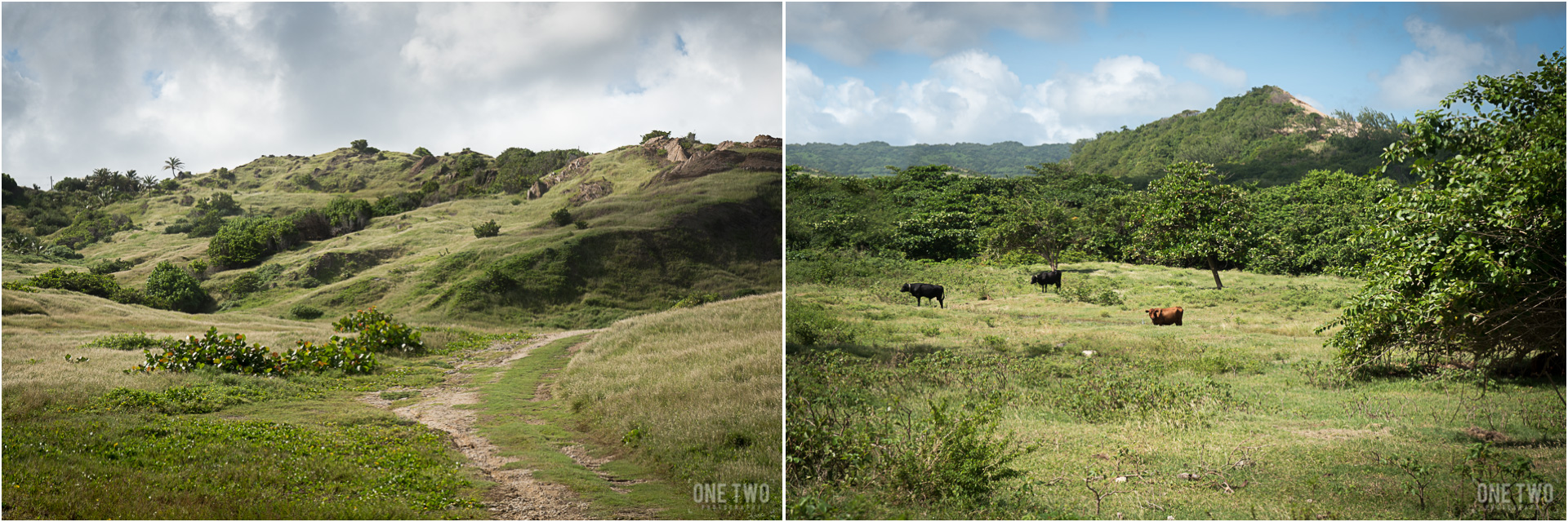 Barbados East Coast Hills barbados green hills