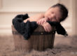 hamilton ancaster newborn photographer