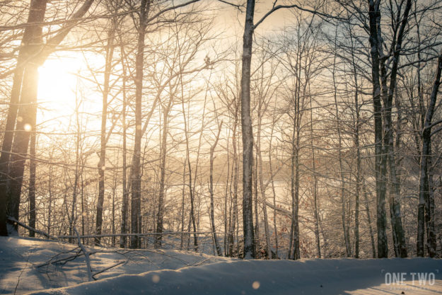 landscape sunrise trees lake snow