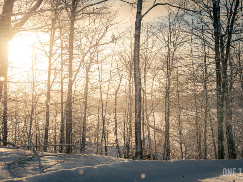 landscape sunrise trees lake snow