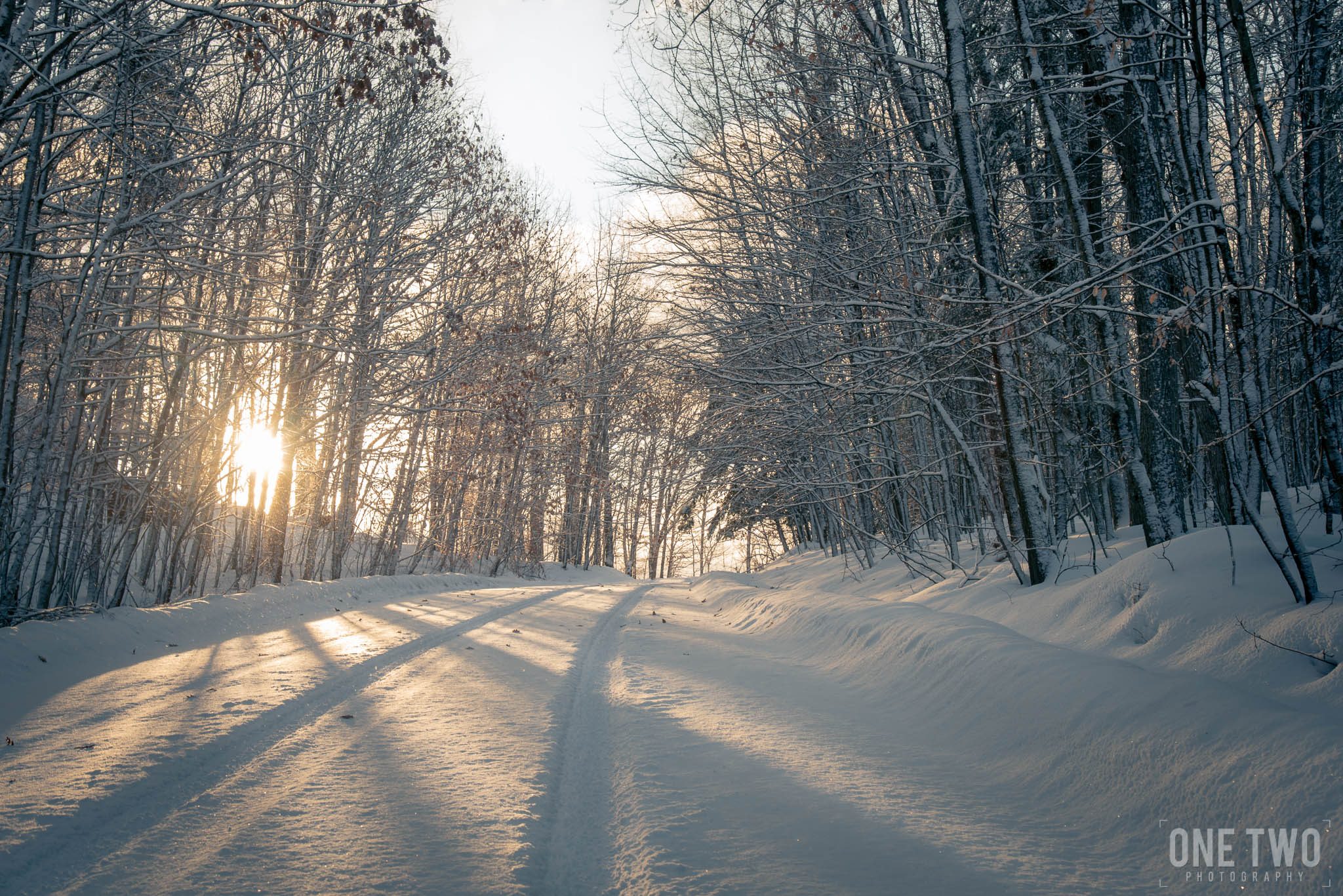 OneTwo_Dwight_Morning Light landscape snow sunrise trees